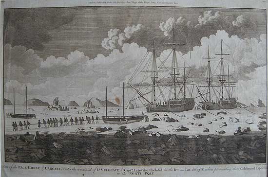 racehorse & Carcass ships